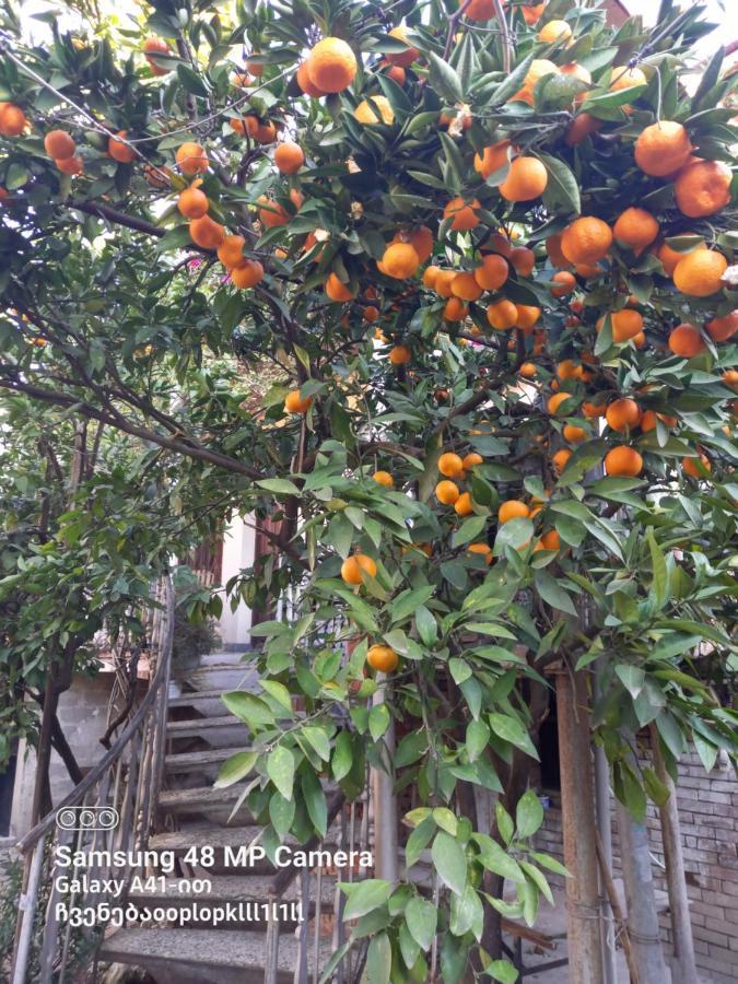 Downtown Guest House Kutaisi Exterior photo